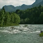 Torkar *