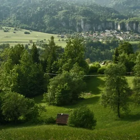 Torkar * Bled