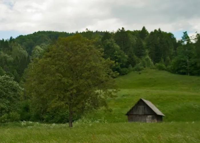 图尔卡尔公寓 公寓 *