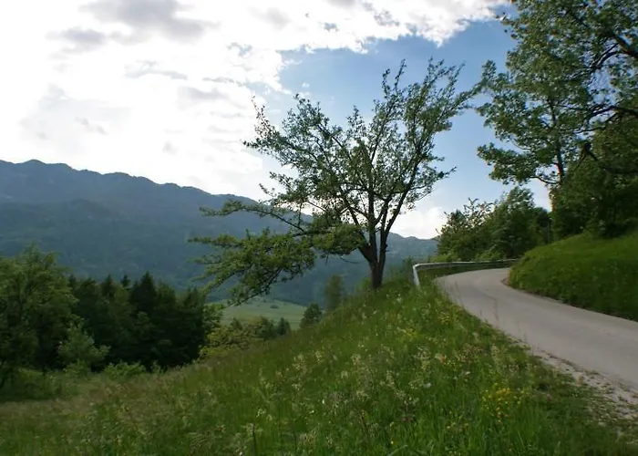 公寓 图尔卡尔公寓