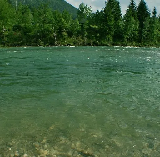 Torkar アパート ブレッド